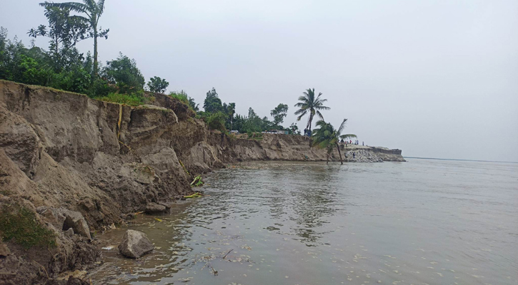 বর্ষার আগেই এনায়েতপুরে যমুনায় ভাঙন!